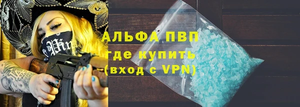 гидра Алексин